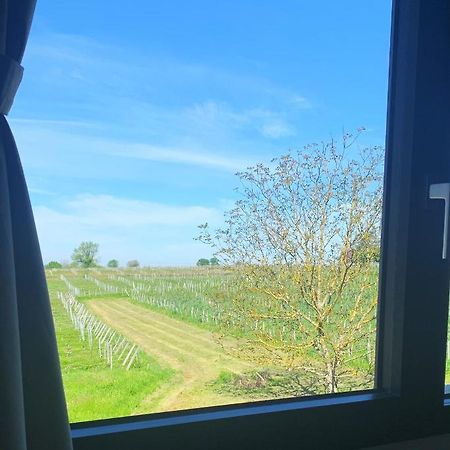 Maison Divon Montagne  Ngoại thất bức ảnh